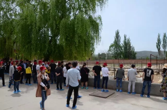 pg电子游戏(试玩)官方网站-APP下载